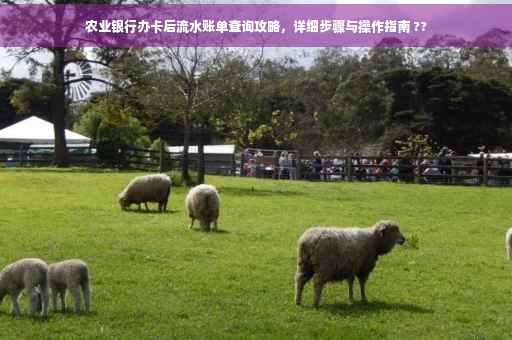 农业银行办卡后流水账单查询攻略，详细步骤与操作指南 ??