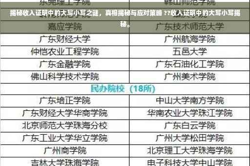 揭秘收入证明中的大写小写之谜，真相揭秘与应对策略 ??收入证明中的大写小写揭秘。