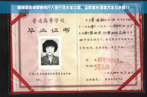 揭秘法院调查被执行人银行流水全过程，深度解析调查方法与步骤??