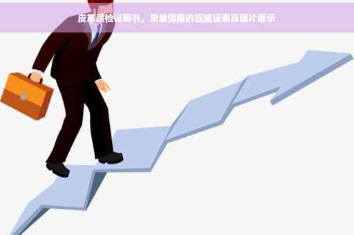 皮革质检证明书，质量保障的权威证明及图片展示
