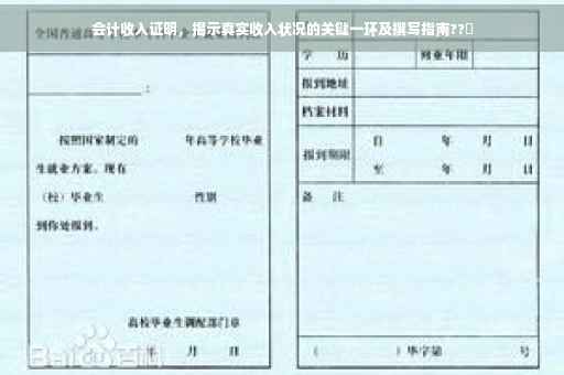 会计收入证明，揭示真实收入状况的关键一环及撰写指南??✨