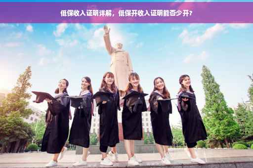 低保收入证明详解，低保开收入证明能否少开？
