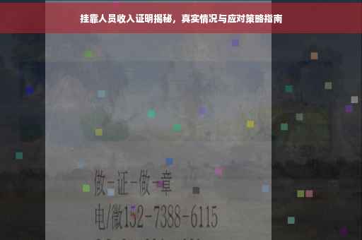 挂靠人员收入证明揭秘，真实情况与应对策略指南