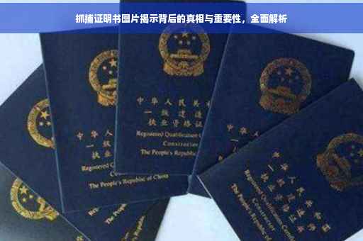 抓捕证明书图片揭示背后的真相与重要性，全面解析