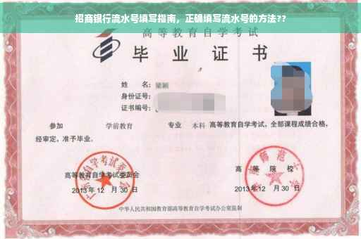 招商银行流水号填写指南，正确填写流水号的方法??