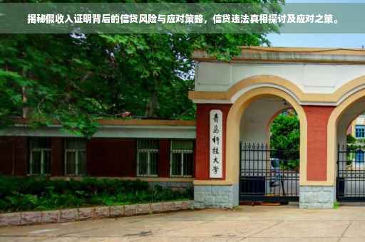 揭秘假收入证明背后的信贷风险与应对策略，信贷违法真相探讨及应对之策。