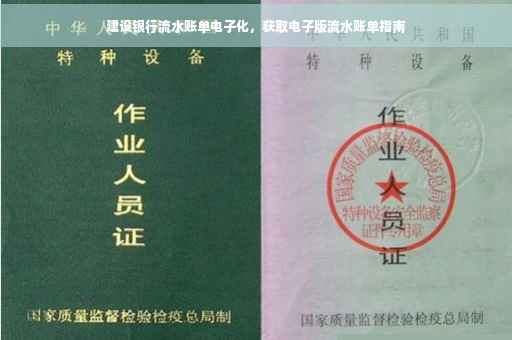 建设银行流水账单电子化，获取电子版流水账单指南