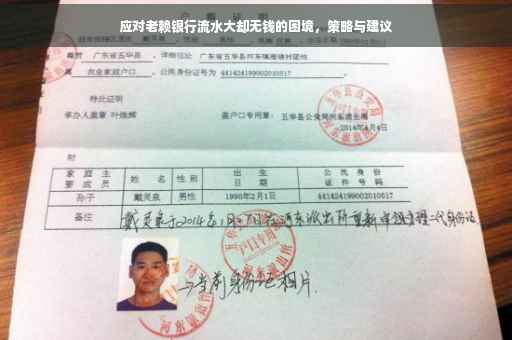 应对老赖银行流水大却无钱的困境，策略与建议