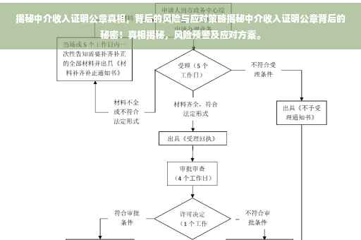 揭秘中介收入证明公章真相，背后的风险与应对策略揭秘中介收入证明公章背后的秘密！真相揭秘，风险预警及应对方案。