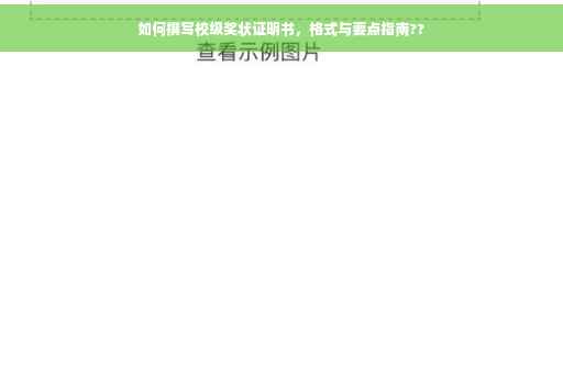 如何撰写校级奖状证明书，格式与要点指南??