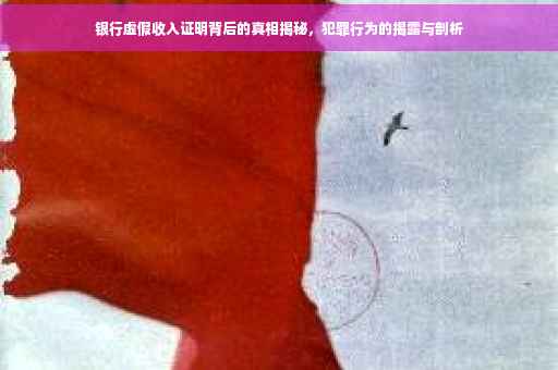银行虚假收入证明背后的真相揭秘，犯罪行为的揭露与剖析
