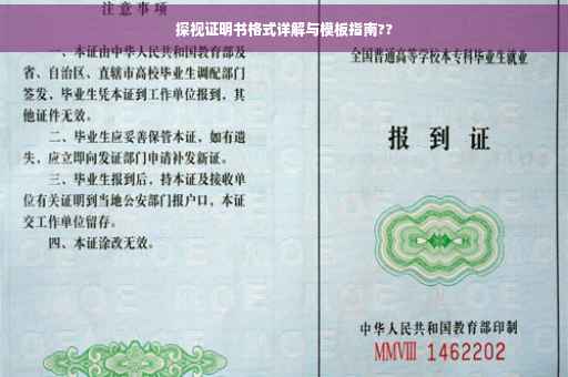 探视证明书格式详解与模板指南??