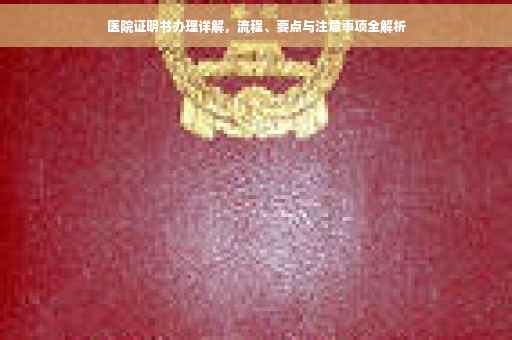 医院证明书办理详解，流程、要点与注意事项全解析