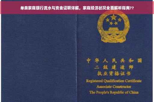 单亲家庭银行流水与资金证明详解，家庭经济状况全面解析指南??