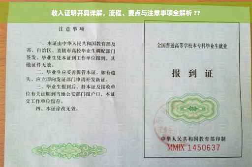 收入证明开具详解，流程、要点与注意事项全解析 ??