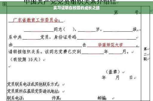 实习证明在校园的成长之旅