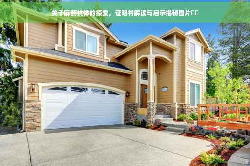 关于麻药抗体的探索，证明书解读与启示揭秘图片​​