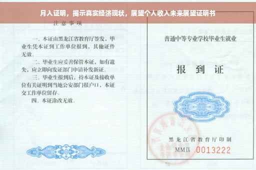 月入证明，揭示真实经济现状，展望个人收入未来展望证明书