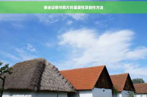 拳击证明书照片的重要性及制作方法