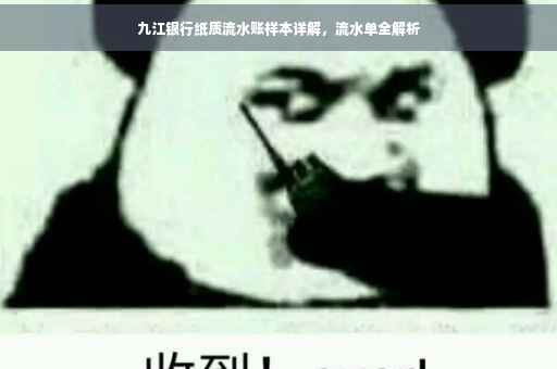 九江银行纸质流水账样本详解，流水单全解析