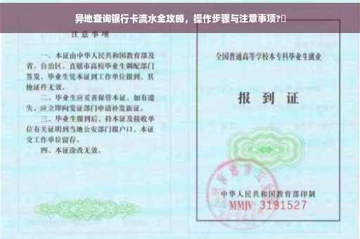 异地查询银行卡流水全攻略，操作步骤与注意事项?✨