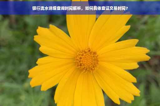 银行流水详细查询时间解析，如何具体查证交易时间？