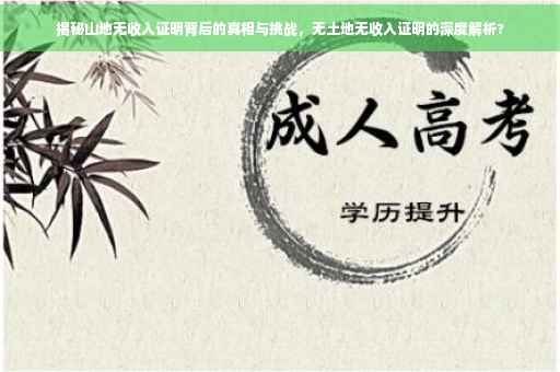 揭秘山地无收入证明背后的真相与挑战，无土地无收入证明的深度解析?