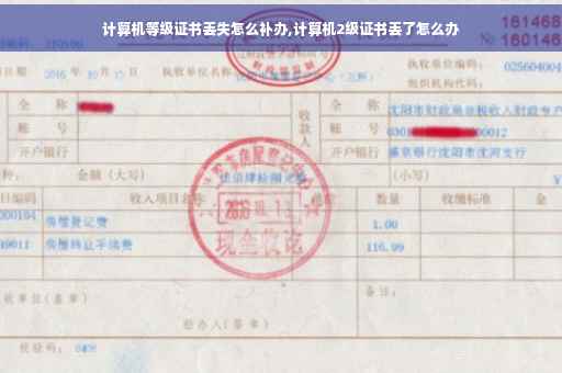 计算机等级证书丢失怎么补办,计算机2级证书丢了怎么办
