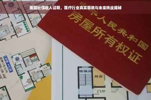 医院社保收入证明，医疗行业真实面貌与未来挑战揭秘