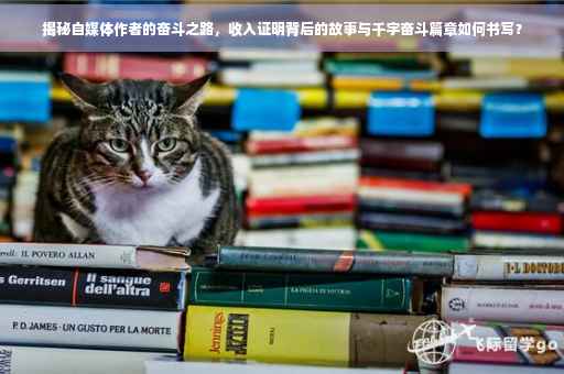 揭秘自媒体作者的奋斗之路，收入证明背后的故事与千字奋斗篇章如何书写？