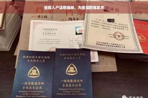 低收入户证明揭秘，为底层群体发声