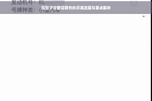拉肚子诊断证明书的开具流程与要点解析