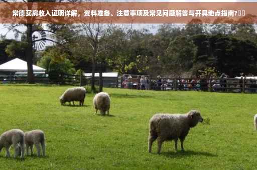 常德买房收入证明详解，资料准备、注意事项及常见问题解答与开具地点指南?⚡️
