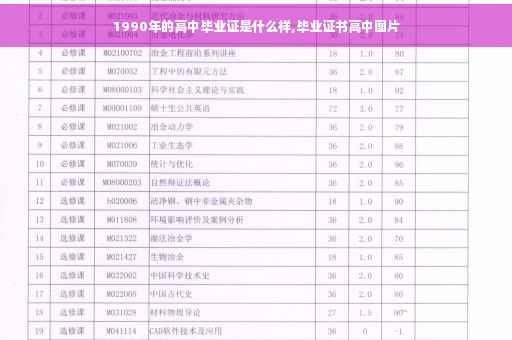 1990年的高中毕业证是什么样,毕业证书高中图片