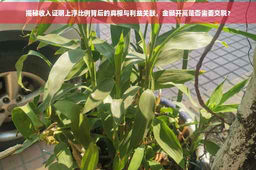 揭秘收入证明上浮比例背后的真相与利益关联，金额开高是否需要交税？