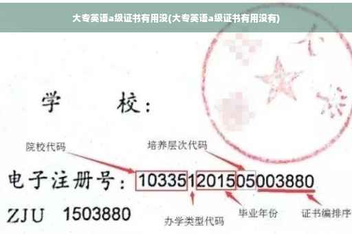 大专英语a级证书有用没(大专英语a级证书有用没有)