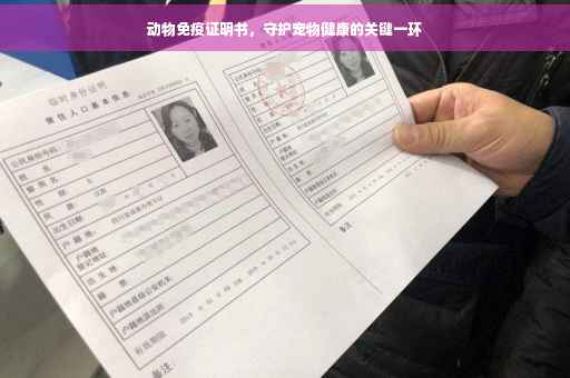 动物免疫证明书，守护宠物健康的关键一环