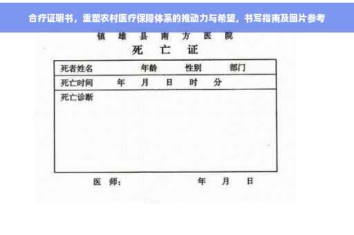 合疗证明书，重塑农村医疗保障体系的推动力与希望，书写指南及图片参考