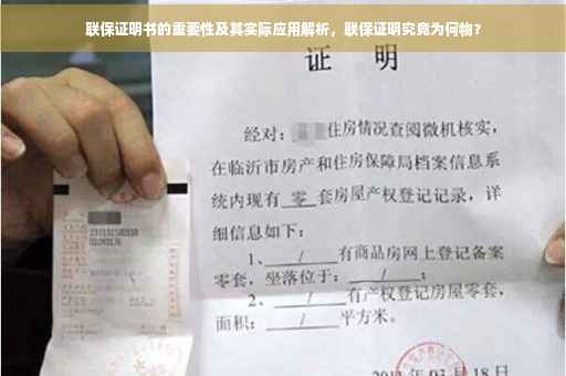 联保证明书的重要性及其实际应用解析，联保证明究竟为何物？