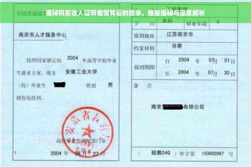 揭秘税前收入证明截图背后的故事，模板揭秘与深度解析
