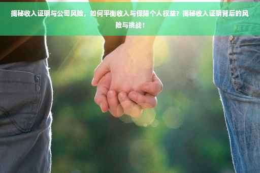揭秘收入证明与公司风险，如何平衡收入与保障个人权益？揭秘收入证明背后的风险与挑战！