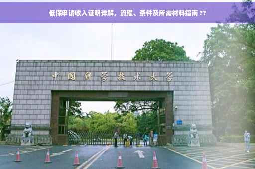 低保申请收入证明详解，流程、条件及所需材料指南 ??