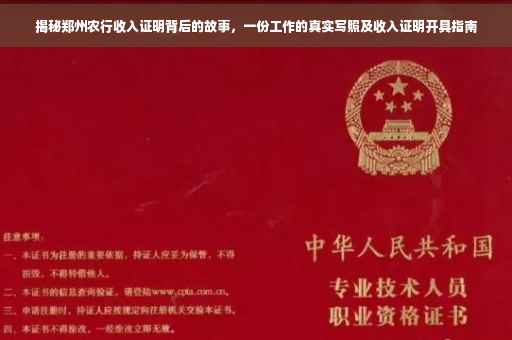 揭秘郑州农行收入证明背后的故事，一份工作的真实写照及收入证明开具指南