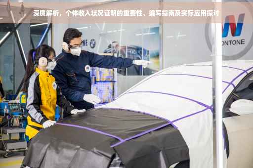 深度解析，个体收入状况证明的重要性、编写指南及实际应用探讨
