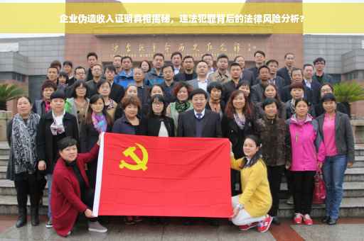 企业伪造收入证明真相揭秘，违法犯罪背后的法律风险分析?