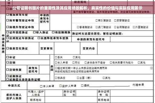 公司证明书图片的重要性及其应用场景解析，真实性的价值与实际应用展示