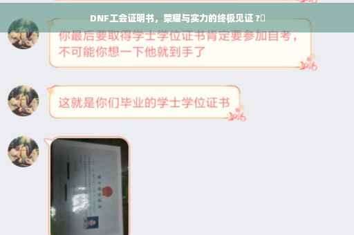 DNF工会证明书，荣耀与实力的终极见证 ?✨