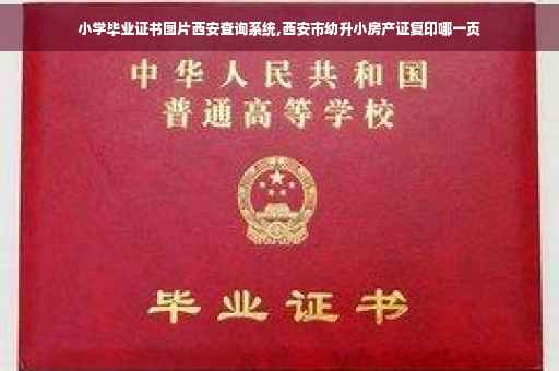 小学毕业证书图片西安查询系统,西安市幼升小房产证复印哪一页