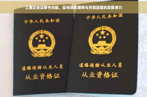 工商企业证明书详解，探寻真实面貌与开具流程的发展潜力