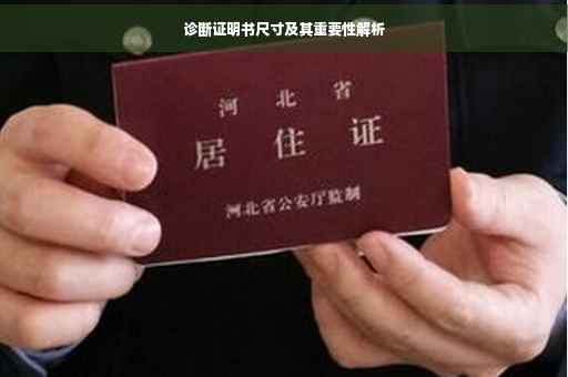 诊断证明书尺寸及其重要性解析